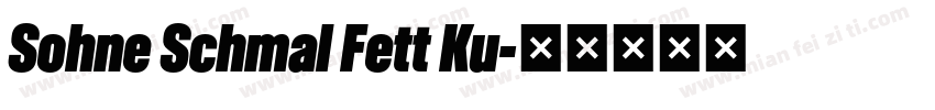 Sohne Schmal Fett Ku字体转换